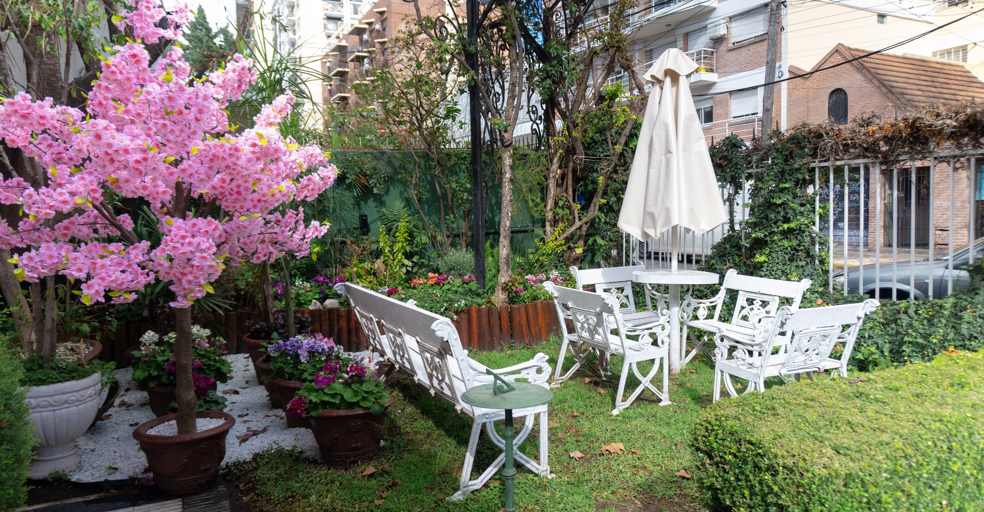 Jardín de la Residencia Bonifacini con un lapacho en flor y sillas blancas de hierro